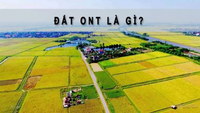 Thế nào là đất ở tại nông thôn